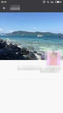 微信 微信