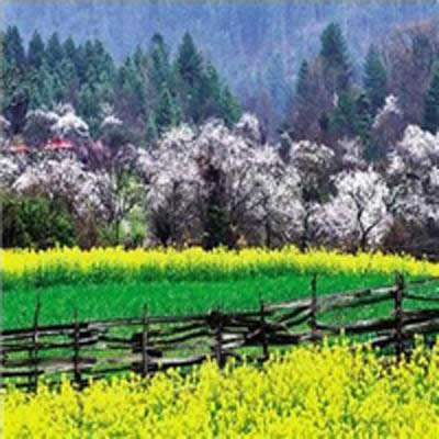 頭像風(fēng)景 頭像風(fēng)景