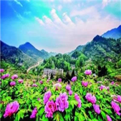 頭像風(fēng)景 頭像風(fēng)景