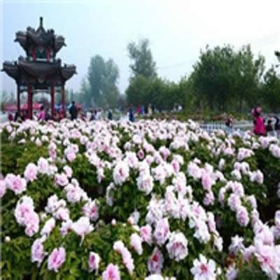 頭像風(fēng)景 頭像風(fēng)景
