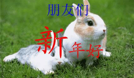 新年好動(dòng)態(tài)表情包 新年好動(dòng)態(tài)表情包