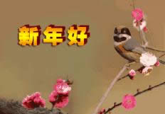 新年好動(dòng)態(tài)表情包 新年好動(dòng)態(tài)表情包