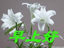 早上好動(dòng)態(tài)表情 早上好動(dòng)態(tài)表情