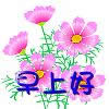 早上好動(dòng)態(tài)表情 早上好動(dòng)態(tài)表情