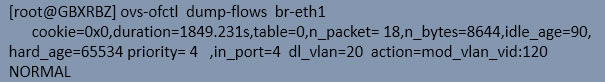  br-eth1  phy-br-eth1 յethernet frame rȾȥ鿴local-vlan  global-vlanһӳ