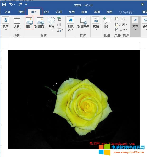 Word 2016 可以刪除圖片背景