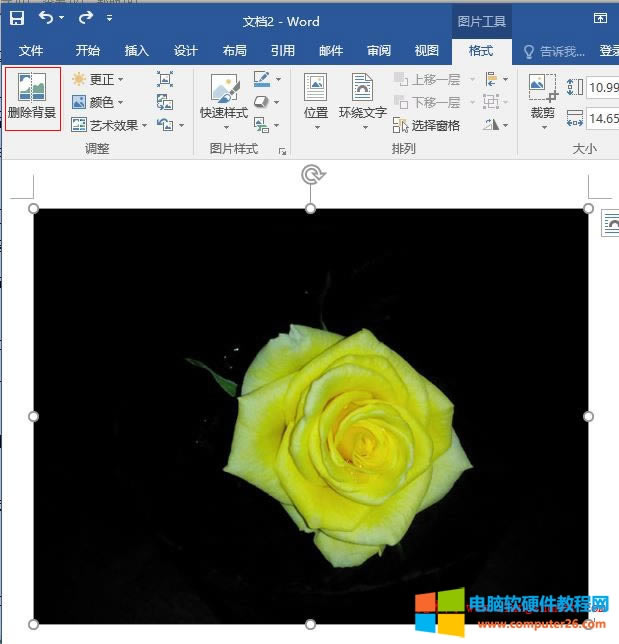 Word 2016 刪除插入圖片背景