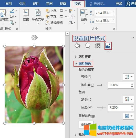 Word 2016 {(dio)DƬɫ֮(sh)O(sh)