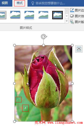 Word 2016 DƬ͸c(din)