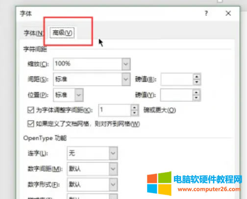 高級(jí)選項(xiàng)