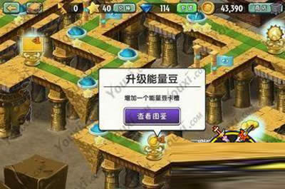升級能量豆