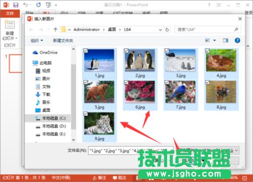 PowerPoint2013нoԔ(x)v