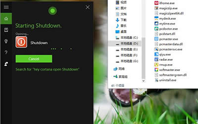 Win10小娜 Win10小娜