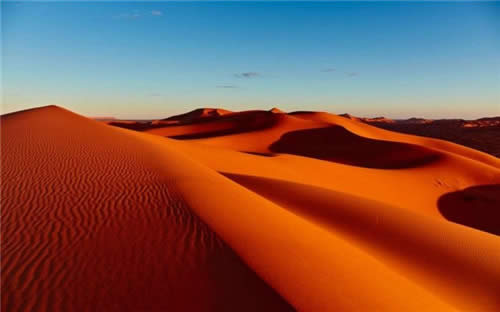 Win10壁紙集In the Desert上架!