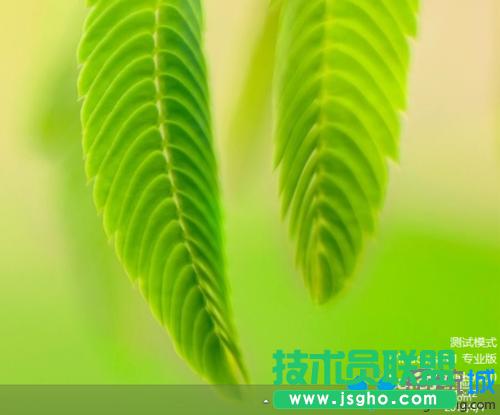 出現(xiàn)了“測(cè)試模式”