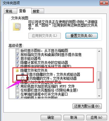 文件 文件