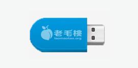 u盤安裝 u盤安裝