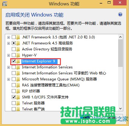 Windows8ôжdIE9g[