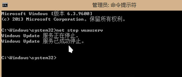 Win8.1Win10ʧôk