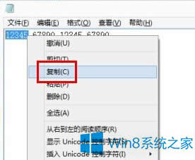 ԒWin8o(w)ݔ딵(sh)耵̎