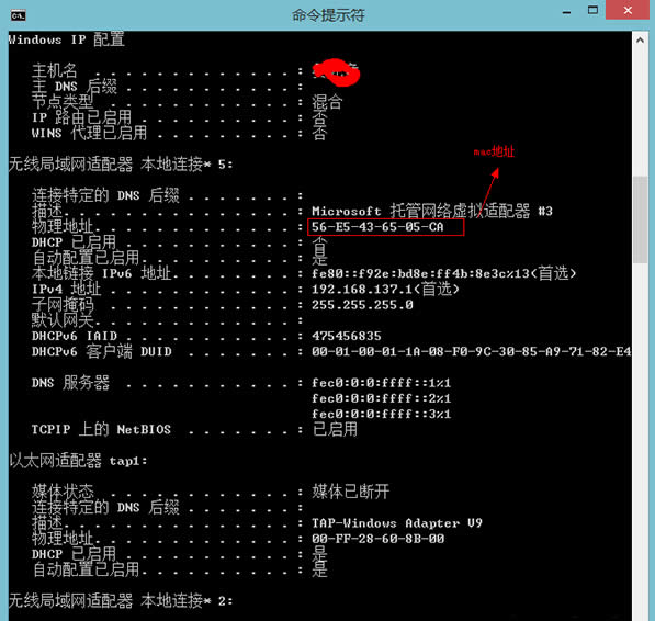 Windows8.1下查看Mac地址的技巧