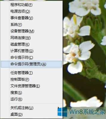 Win8.1ϵyc_ʼo]зôk