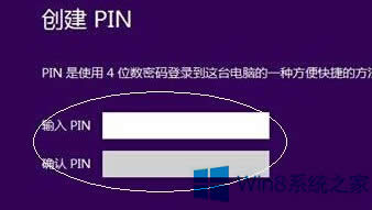 Win8 PINaOã