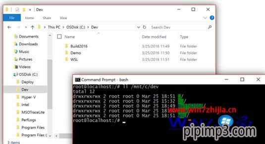 PӛW(wng)in8ϵy(tng)ô_Linux Bash