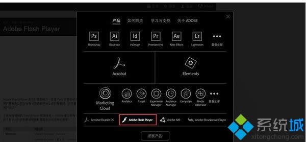 win8系統(tǒng)出現(xiàn)shockwave flash崩潰的解決方法 win8系統(tǒng)出現(xiàn)shockwave flash崩潰的解決方法