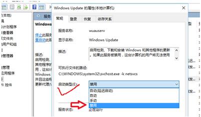 Win10P(gun)CrbС
