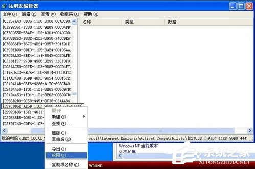 WinXP系統(tǒng)Flash Player安裝遇到錯(cuò)誤怎么辦?