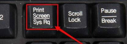 xp؈DIwinxp؈D