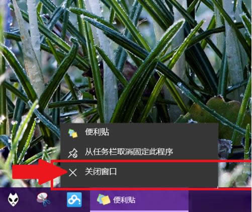Win10便簽貼（便利貼）如何打開？使用方法介紹